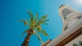 Green palm tree`s leaf beside lighthouse against sky background. View from down to up