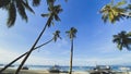 Green palm trees with coconuts beautiful view from below. Landscape of boats on the beach on a background of blue sea Royalty Free Stock Photo