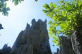 Green palm trees and coral rock against the blue sky . Royalty Free Stock Photo