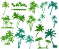 Green palm trees set isolated on white background. Palm silhouettes.