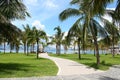 Green palm trees on the shore of Vinpearl Beach.