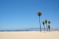 Palm trees and volleyball nets on Venice beach Los Angeles California Royalty Free Stock Photo