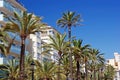Green palms, hotels.
