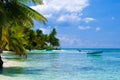 Green palms on a white sand beach