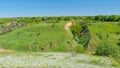 Green panoramic landscape