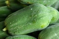 Green papaya