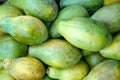 Green papaya fruits displayed on food market