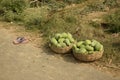 Papayas in wicker baskets and a pair of slippers kept by the roadside with selective focus