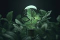 Green paper light bulb, Corporate social responsibility, responsible business