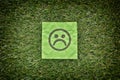 Green paper with sad unhappy face on a green grass