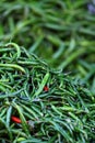 Green paprica in traditional vegetable market.