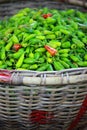 Green paprica in traditional vegetable market in India.