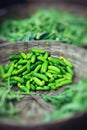 Green paprica in traditional vegetable market in India. Royalty Free Stock Photo