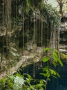 Green paradise and grotto in cenote XÃ¢â¬â¢canche Yucatan Peninsula