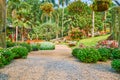 Green paradise in Mae Fah Luang garden, Doi Tung, Thailand Royalty Free Stock Photo