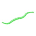 Green parasite worm icon, isometric style Royalty Free Stock Photo