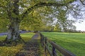 Green park in Adare, County Limerick, Ireland Royalty Free Stock Photo