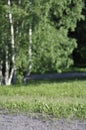 Green park area with a gravel path, lawn or grass, birch trees and forest on a sunny spring or summer day. Subjective focus on the Royalty Free Stock Photo