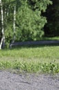 Green park area with a gravel path, lawn or grass, birch trees and forest on a sunny spring or summer day. Subjective focus on the Royalty Free Stock Photo