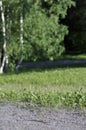 Green park area with a gravel path, lawn or grass, birch trees and forest on a sunny spring or summer day. Subjective focus on the Royalty Free Stock Photo