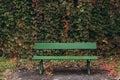 Empty Green park bench with wall and green leaves of the ivy Royalty Free Stock Photo