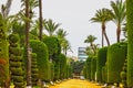 Green park, Cadiz, Spain. Genovese garden Royalty Free Stock Photo