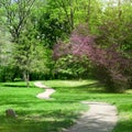 Green park with a crossing path in spring Royalty Free Stock Photo
