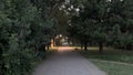 Green park early summer morning. Botanical Garden, Krasnodar city, Krasnodar region. Royalty Free Stock Photo