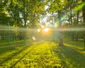 Green park with lawn and trees in a city at sunset. Beautiful panorama of green city park at dawn Royalty Free Stock Photo