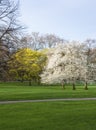 Green park London