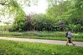 Green Park, is one of the Royal Parks of London. It is located in the City of Westminster, Central London. Royalty Free Stock Photo