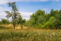 Green park outdoor with blue sky cloud Royalty Free Stock Photo