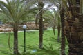 Green Park with Palms in Riyadh, Saudi Arabia Royalty Free Stock Photo