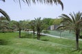 Green Park with Palms in Riyadh, Saudi Arabia Royalty Free Stock Photo