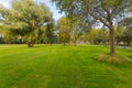 Green Park with trees and lawn near the entertainment center Island of dreams in Moscow