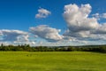 Green park trees over blue sky. formal garden Royalty Free Stock Photo