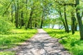 Green park with trees and path Royalty Free Stock Photo