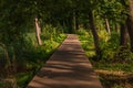 Springtime Sunset with a Serene Road