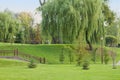 Green park with willow tree in Grodno, Belarus