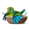 Green parrot bathing in a bowl of water isolated on a white background. Tropical tamed bird. Vector illustration.