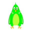 green parrot funny , Isolated cute parakeet