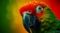 Green parrot with red beak on orange background Royalty Free Stock Photo