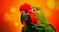 Green parrot with red beak on orange background Royalty Free Stock Photo