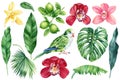 Green parrot. Tropical plants, orchid flowers, palm leaves and monstera leaf. Jungle botanical watercolor illustrations