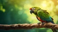 Green Parrot On Wood Branch: Photobashing Stock Photo