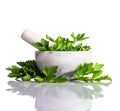 Green Parsley in Pestle and Mortar on White Royalty Free Stock Photo