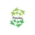 Green parsley twig, shoot, sprig. Icon Isolated on white. Logo for eco company, agriculture, nature firm, ecology, healthy organic Royalty Free Stock Photo