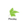 Green parsley twig, shoot, sprig. Icon Isolated on white. Logo for eco company, agriculture, nature firm, ecology, healthy organic Royalty Free Stock Photo