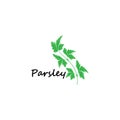 Green parsley twig, shoot, sprig. Icon Isolated on white. Logo for eco company, agriculture, nature firm, ecology, healthy organic Royalty Free Stock Photo