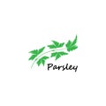 Green parsley twig, shoot, sprig. Icon Isolated on white. Logo for eco company, agriculture, nature firm, ecology, healthy organic Royalty Free Stock Photo